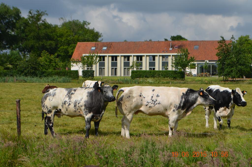 Cleythil Hotel Maldegem Eksteriør bilde
